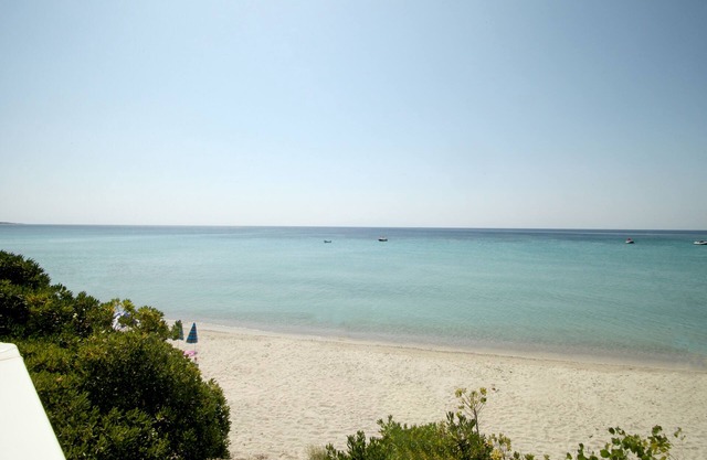 Βυθός Μεζονέτα στην παραλία - Αστερίας