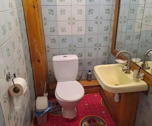 Калина