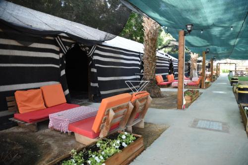 חאן שירת הערבה