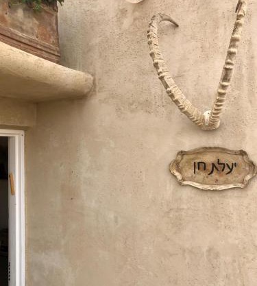 יעלת חן Ya'alat hen