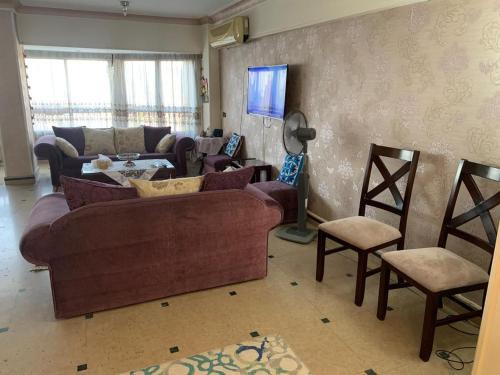 المهندسين شارع الفلاح