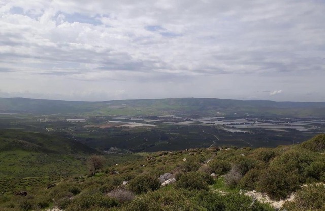 شقه فندقية سيلا