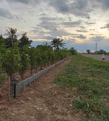 ทุ่งนาแคมป์ปิ้ง Countryside
