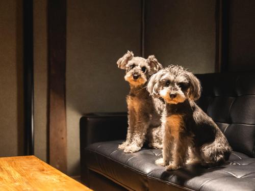 松江日和 by HIYORISTAY