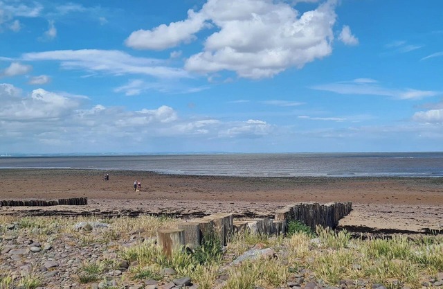 1 bedroom accommodation in Wellington