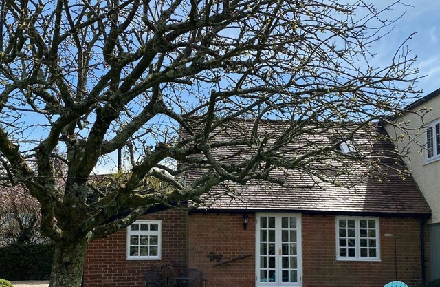 1 bedroom accommodation in West Stafford, near Dorchester