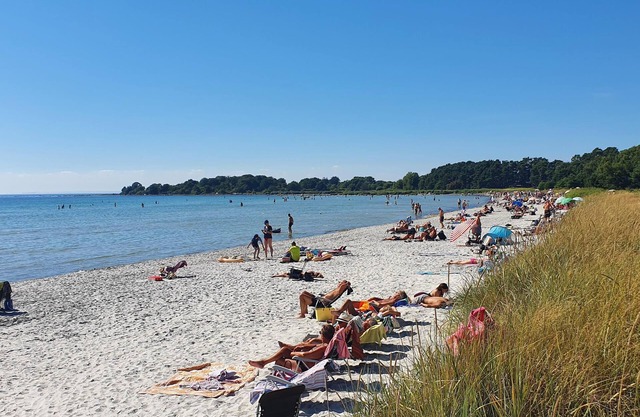 1 bedroom accommodation in Sölvesborg