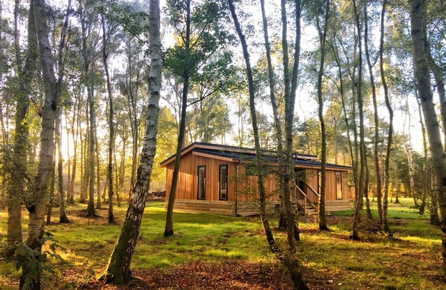 1 bedroom accommodation in Haddon