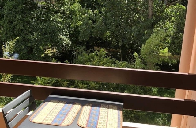 1-bedroom apartment overlooking the river Aven and the Bois d'Amour