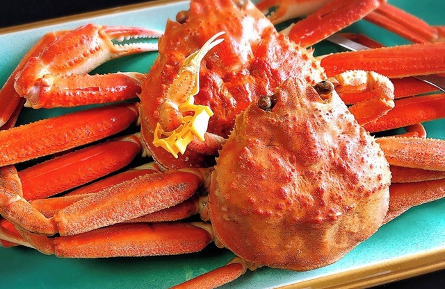 1 night 2 meals included Full of seafood A lux/Sakai Fukui