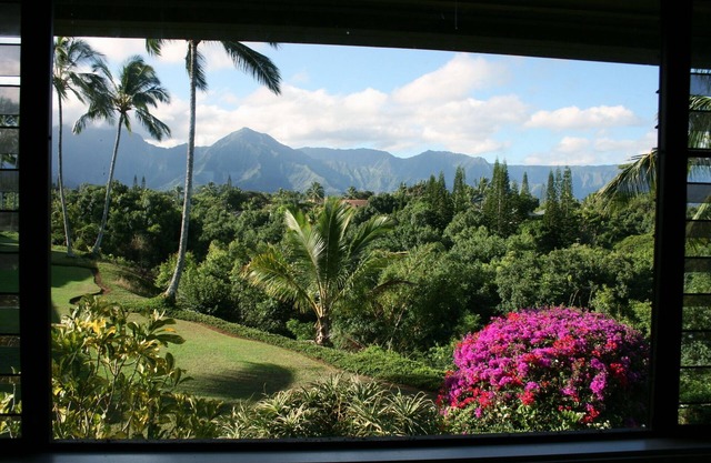 100% Renovated Luxury Condo with Ocean/Jungle/Mountain/Waterfall Views