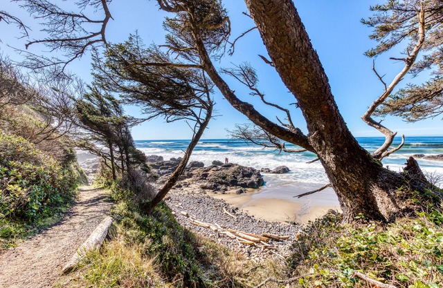 12 oceanfront, dog-friendly cottages w/easy beach access - room for large groups