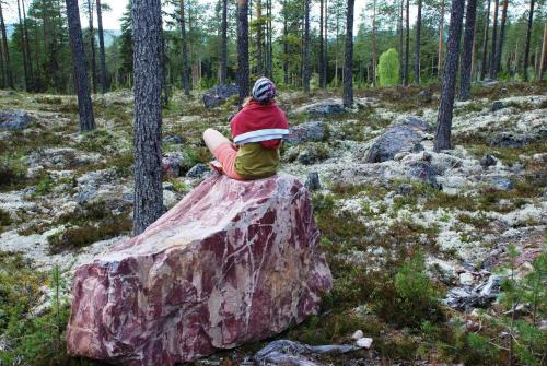 14 - Fulufjellets nasjonalparker - Natur-, dyre- og fugleopplevelser