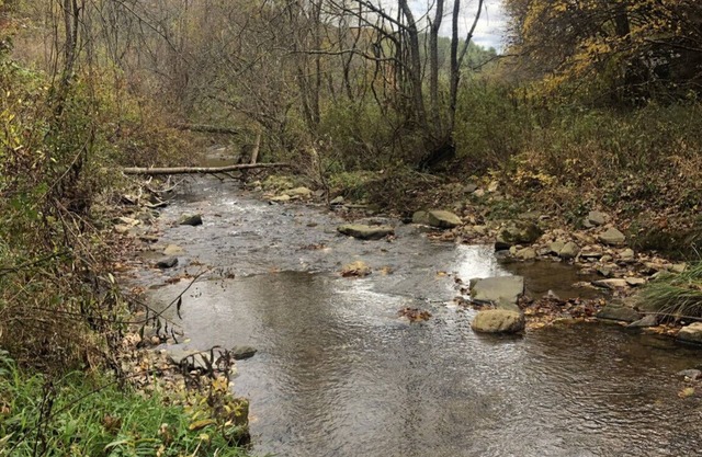 1940s Creekside Farmhouse