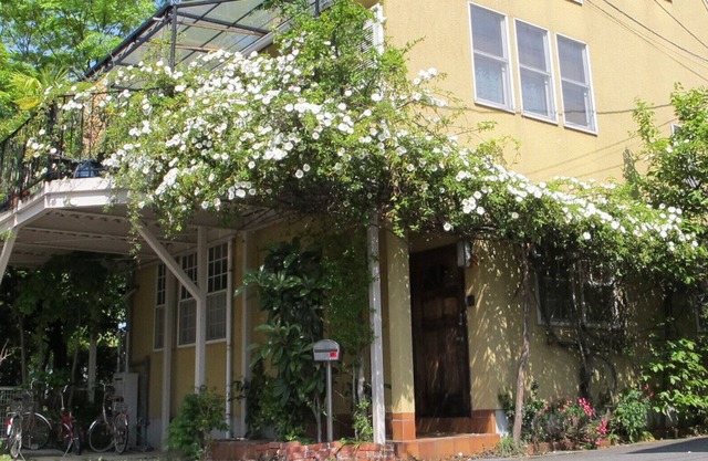 ★★★★★ 1Min walk from subway station. One of the best area in Central