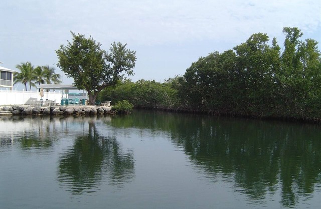 2/2 Oceanside house within walking distance to Pennekamp state park