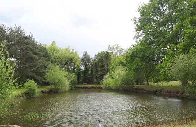 2 bedroom Chalet set in 3 1/2 acres overlooking a tranquil ornamental lake