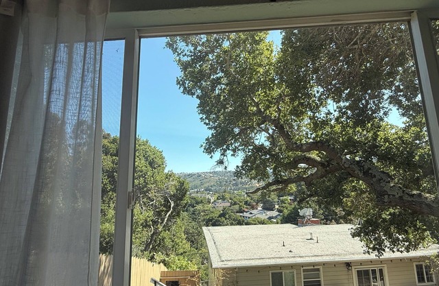 2 Bedroom Treehouse Cottage