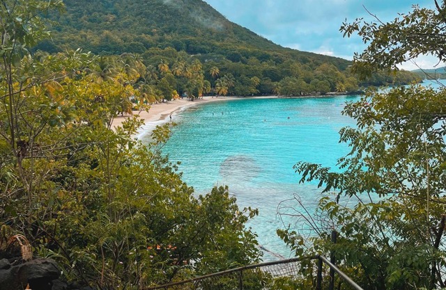 2 villas with pool on Anse Figuier beach