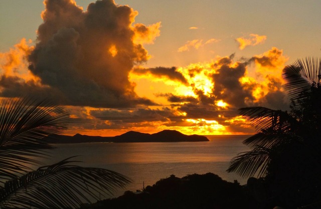 20% Off Oct 19-Nov 29! Here Comes the Sun