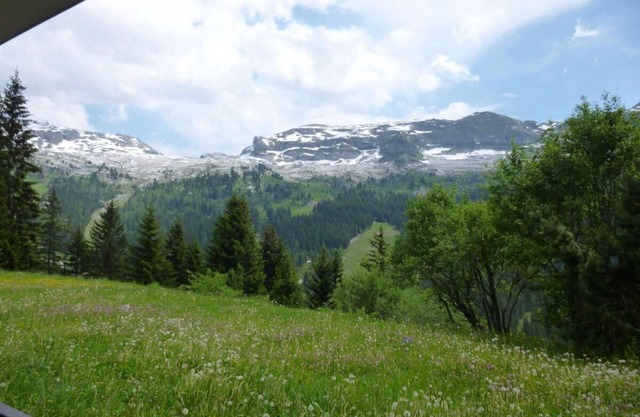 250m from ski slopes, 2nd floor, view ski slopes, balcony, tv, ski locker, 37m², Flaine