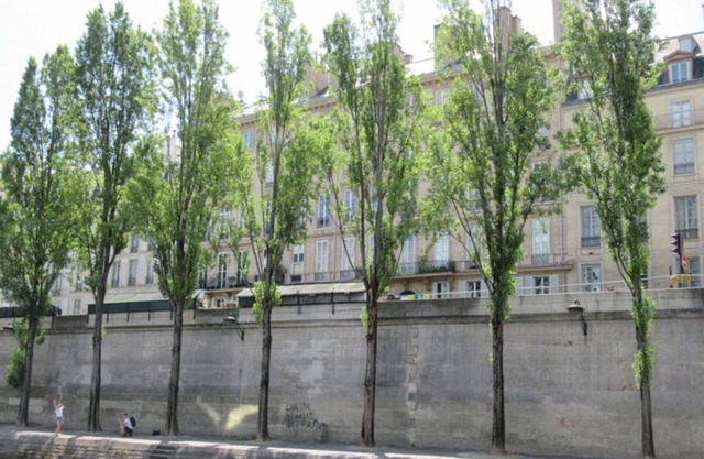 250m2 of Pure Parisian Magic –Eiffel Tower & Seine Vistas by the Champs-Élysées