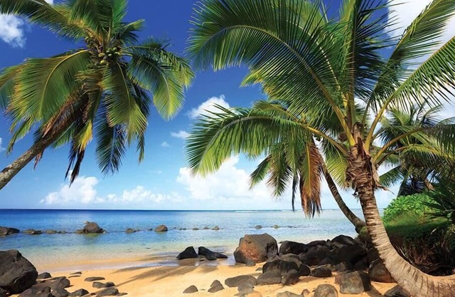 2br Deluxe Unit Anini Bay & Hanalei Views