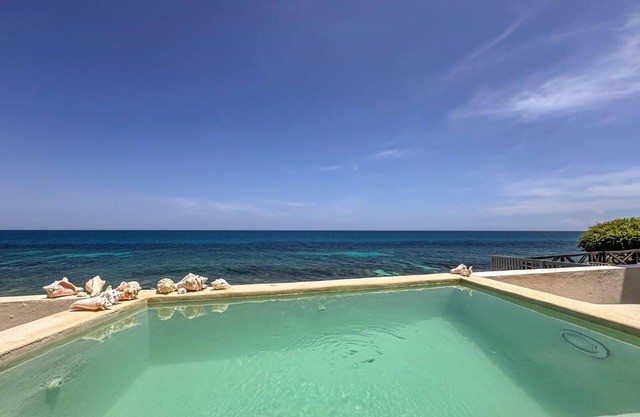 2BR w/Private Ocean View Dipping Pool