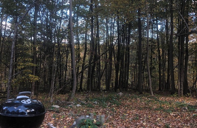 3-bedroom house wooded location one hour fifteen minutes North of G.W.Bridge