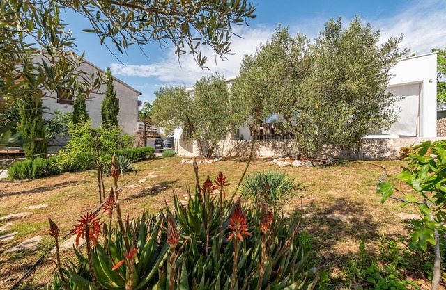 3 bedroom nice home in Potocnica