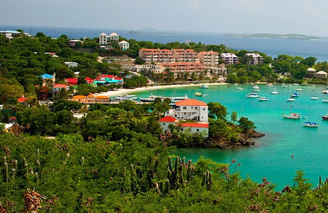 3 Bedroom - Westin St. John Coral Vista Villas - Full Resort Access