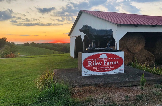 331 Acres of Comfort & Rest @Riley Farms, ❤ of the Bluegrass- 12 mins from ARK