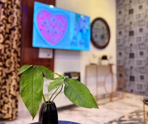 3BHK apartment with the terrace