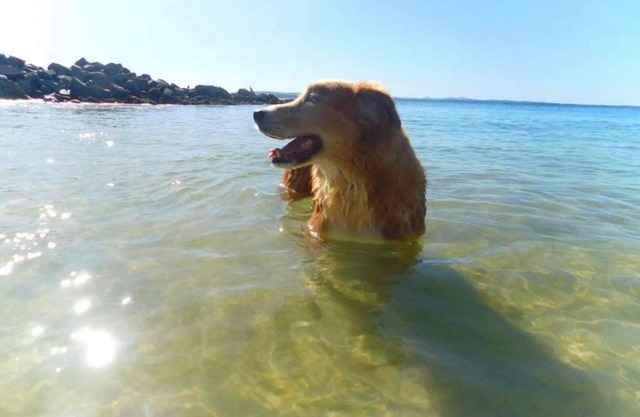 4 Gilchrist Rd - pet friendly, air con, Wi-Fi