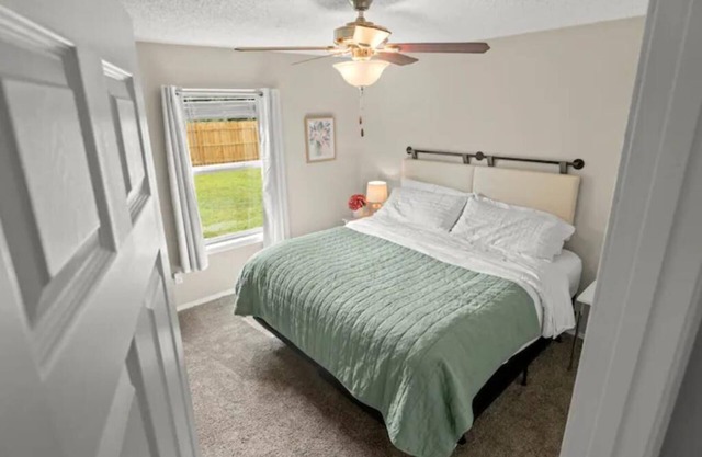 <4 miles from UofA Dog Friendly Fayetteville KING