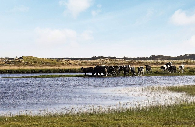 4 person holiday home in Fjerritslev