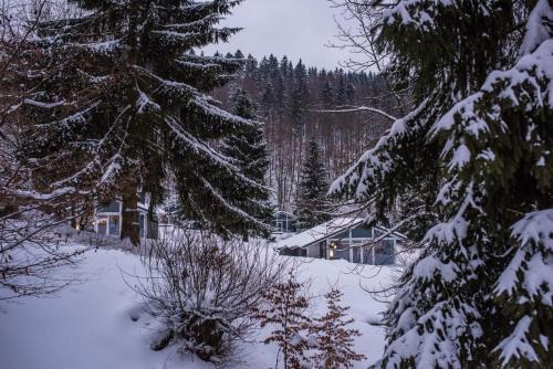 4 Personen mit Sauna F2H2