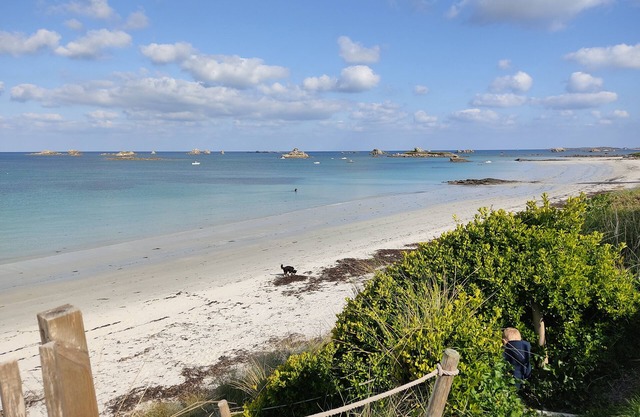 4 star architect villa with Pool, direct access to the beach