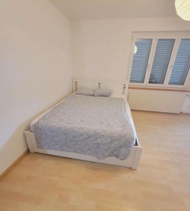 5-Bed Huge Flat in Zurich City - Schurgi - Self Checkin