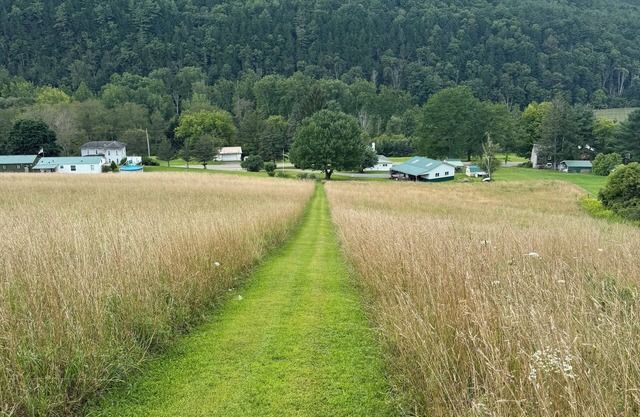 50 Acres of Adventure: Discover Walter’s Place”