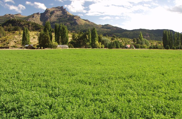 880 acre ranch in the Lake District of Argentina