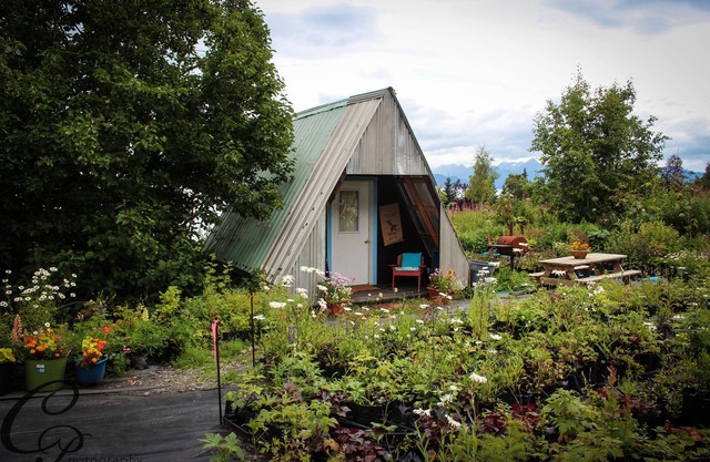 A Frame/Cottonwood Cabins