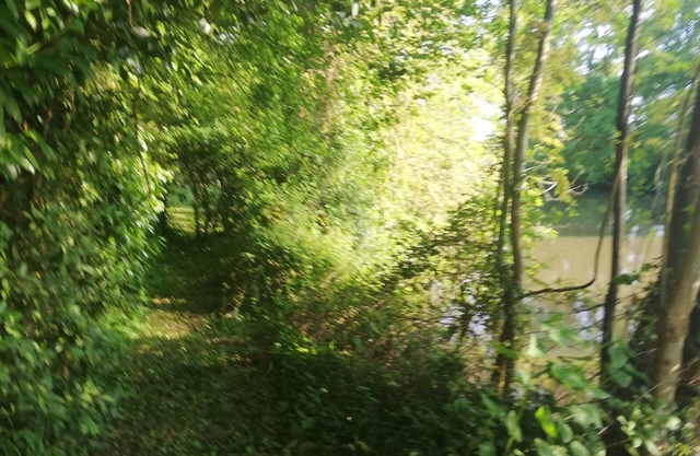 A house in a natural park with solar energy