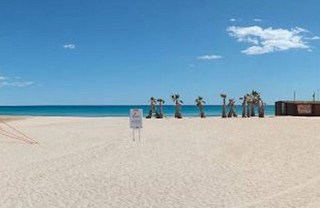 A paradise next to the beach