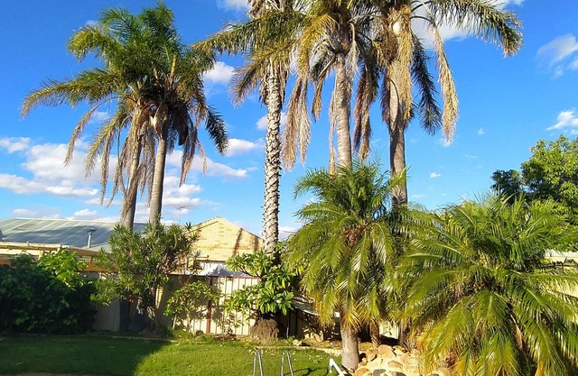 A renovated self-contained guest suite close to the beach