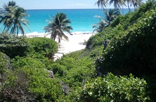 A Self Contained Villa 200 meters from Bottom Bay