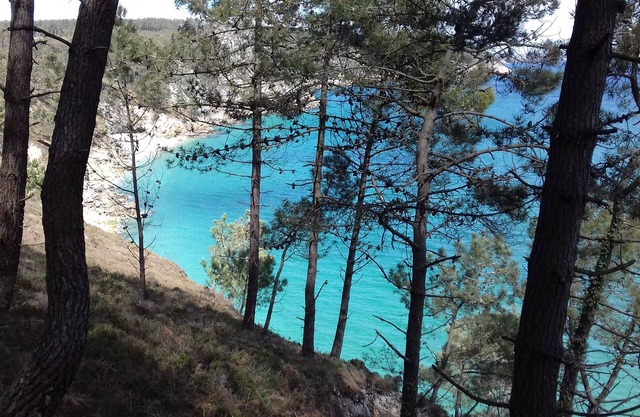 A warm house, a pretty garden, GR34 and 10 minutes from the beaches.