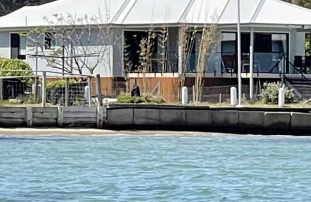 ABSOLUTE BEACHFRONT Pindimar Beach house Spacious,luxurycozy ducted aircon more