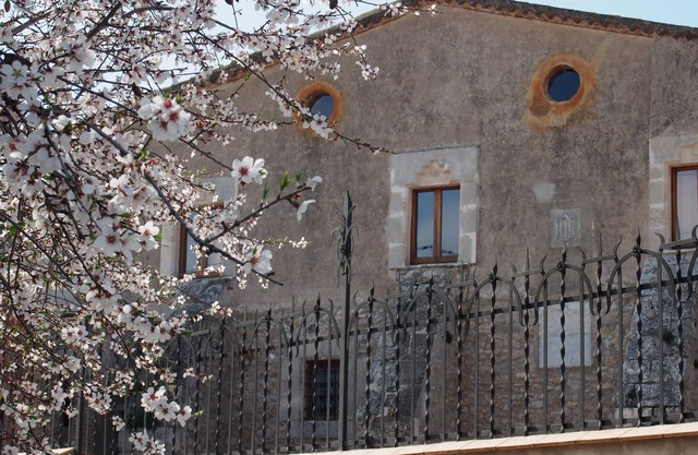 Accommodation in a winery, surrounded by biodynamic vineyards!
