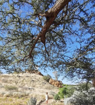 Achab Camping Camp site